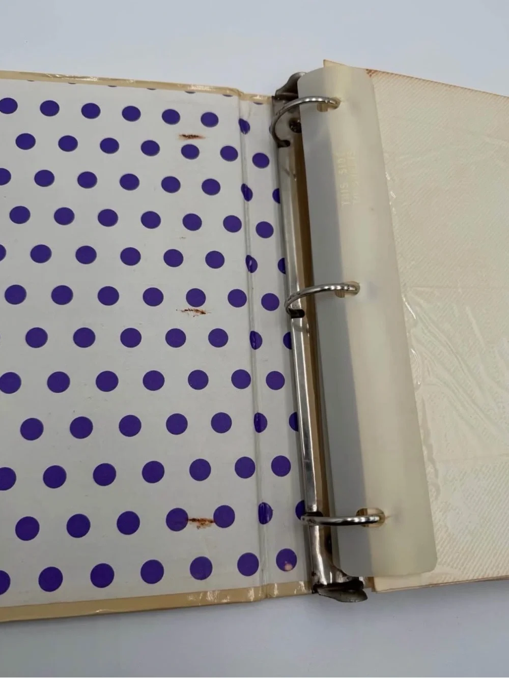 Vintage 1988 Lisa Frank RARE 3 Ring Binder Photo Album Pink Roses Music Notes